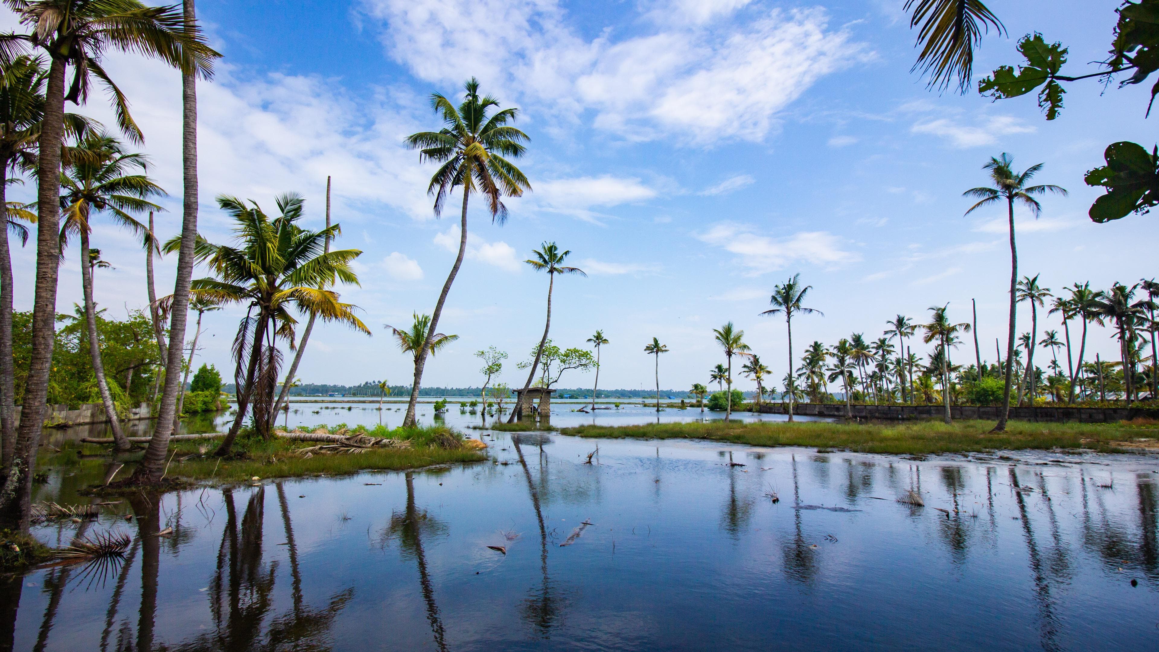 Backwaters of Alleppey