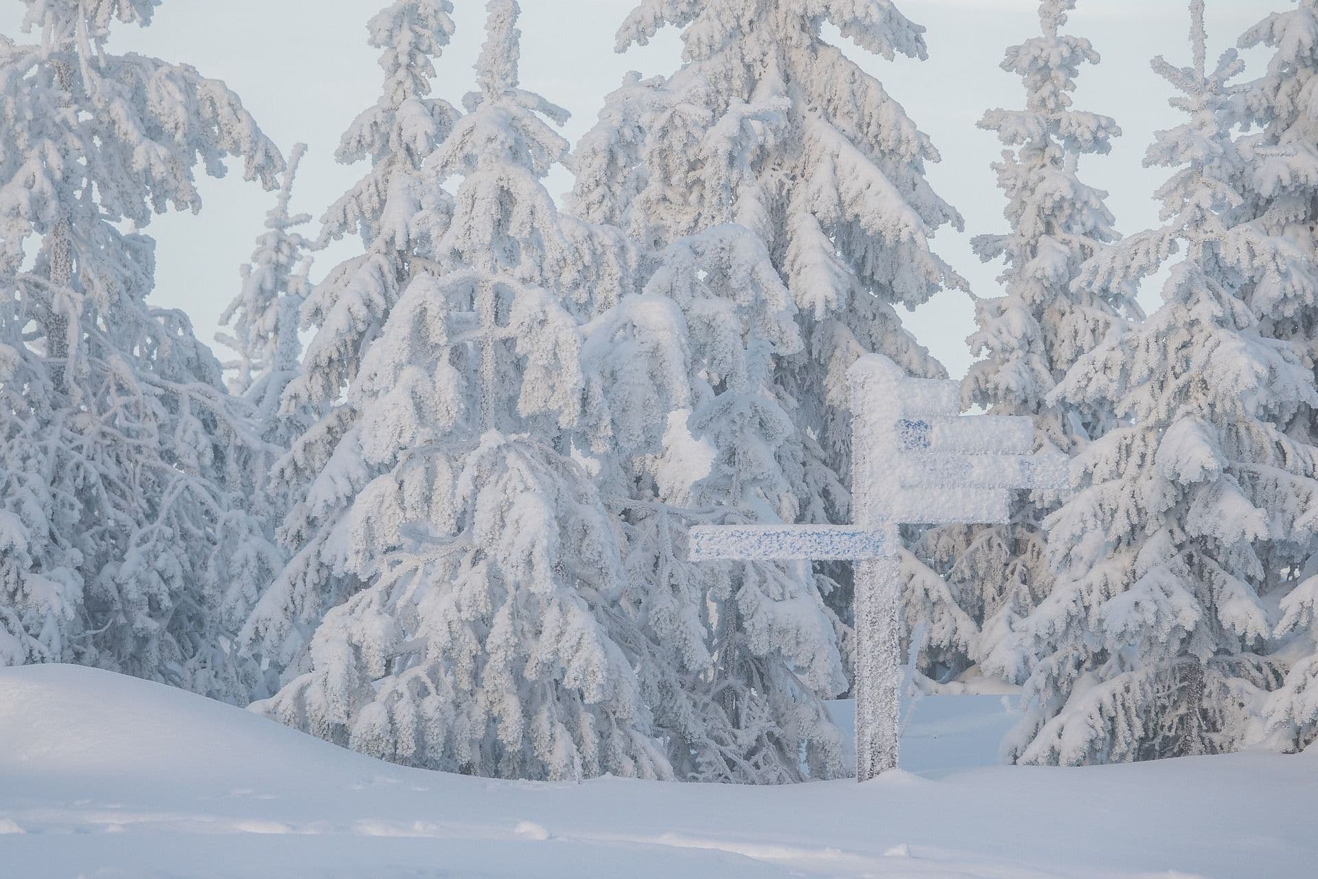 Gulmarg