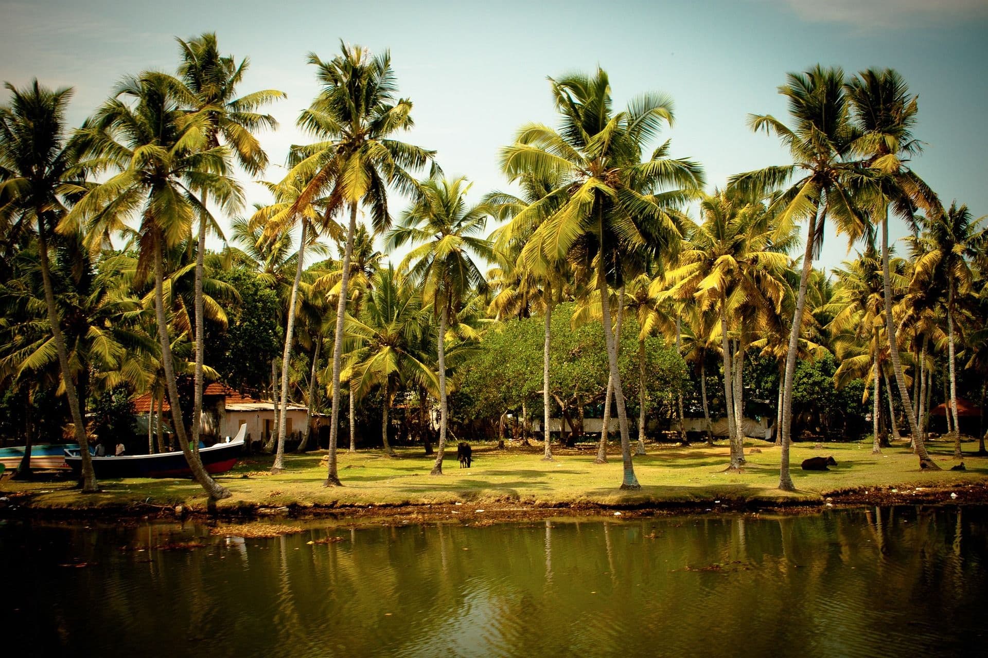 Alleppey, Cochin