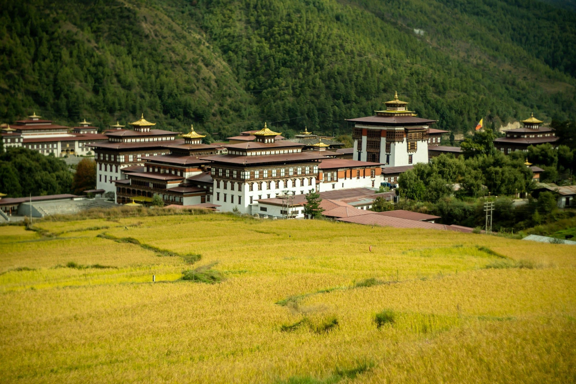Paro