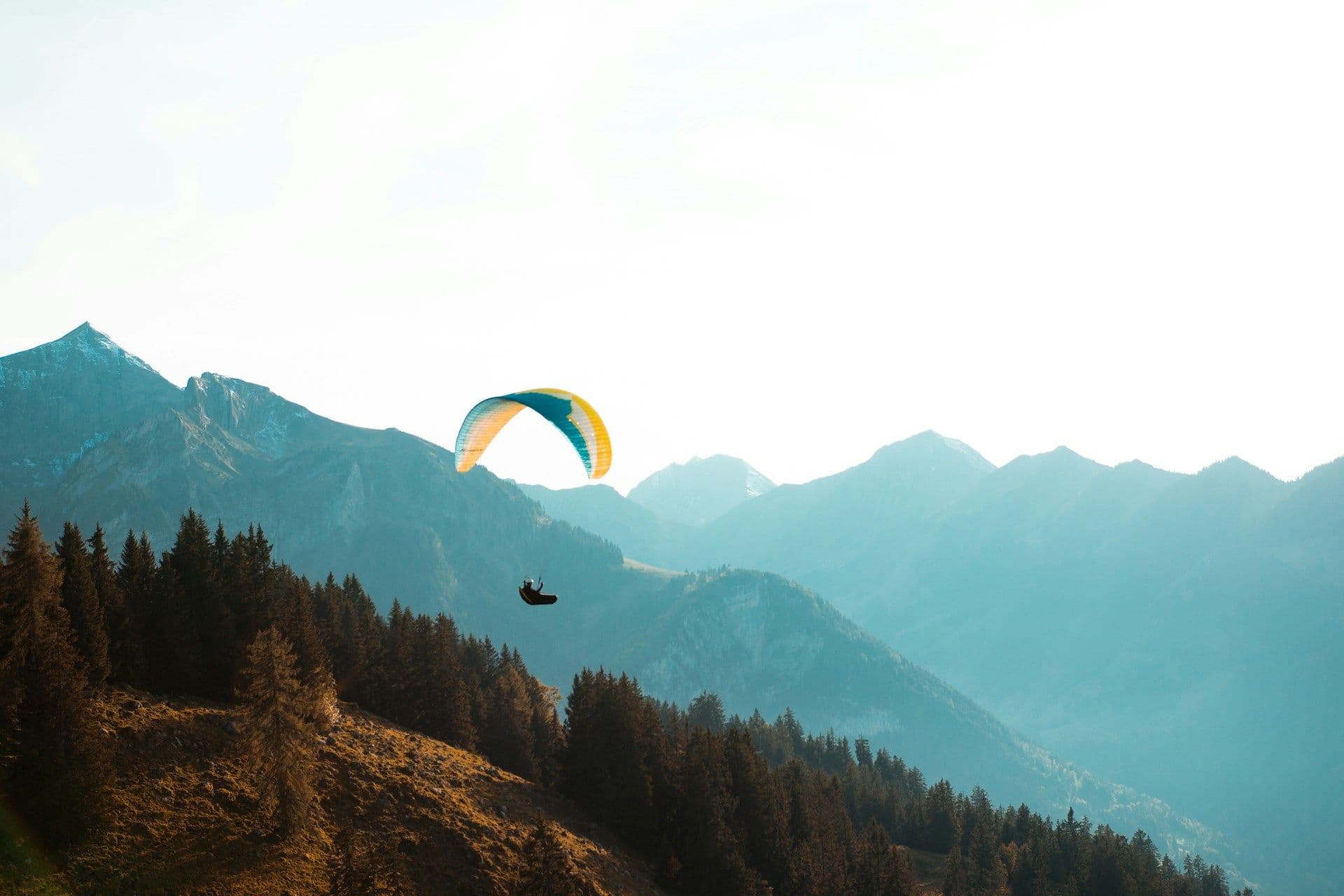 paragliding in Bir Billing