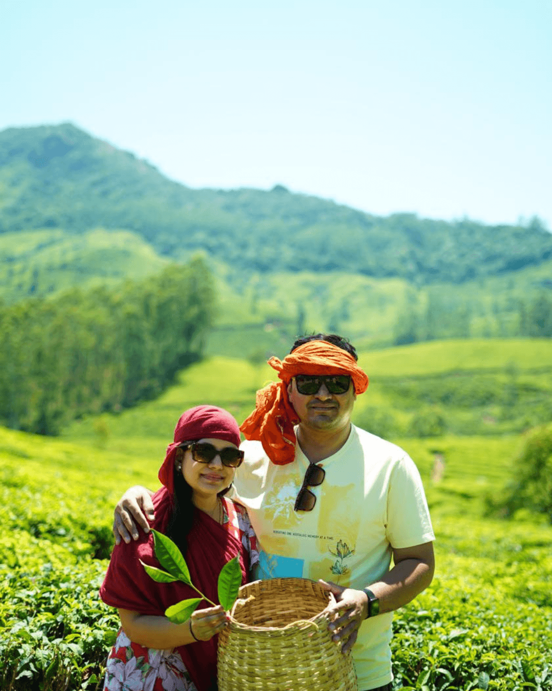 munnar tea gardens